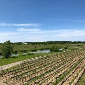 Meet your Posher, Melody